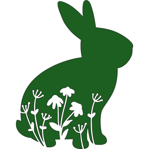 Spring Bunny