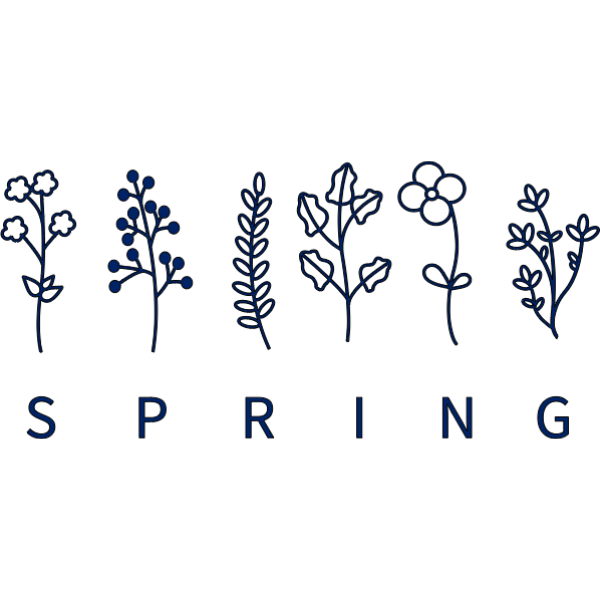 Simple Spring