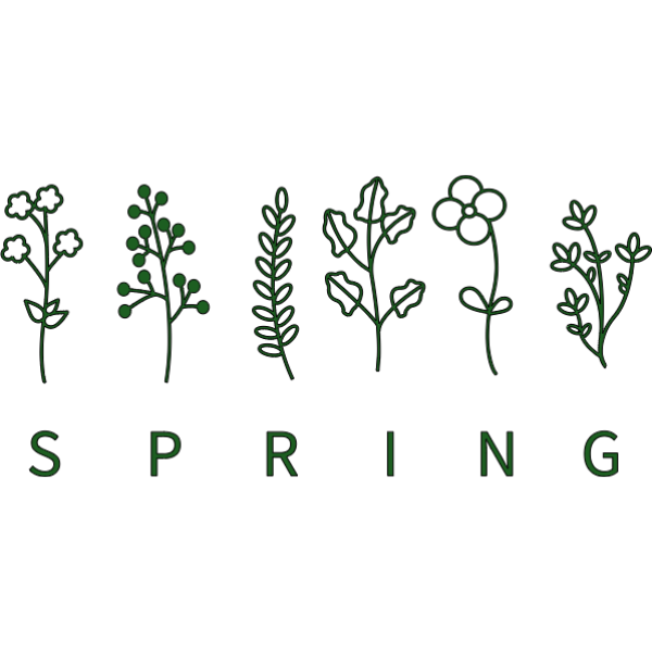 Simple Spring